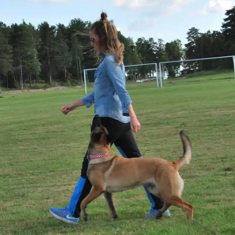 Game On Puppy